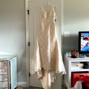 ✨DISCONTINUED✨ David’s bridal wedding dress!